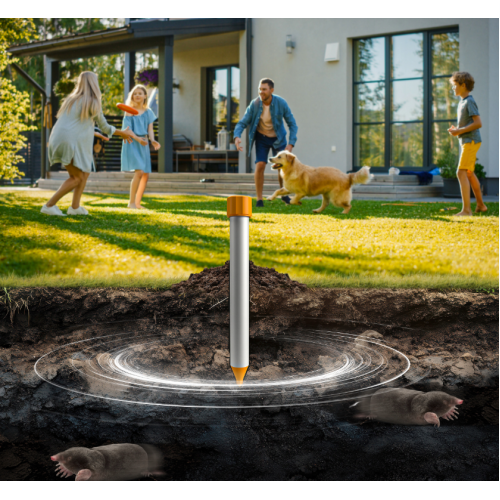 znimokekrana2025-01-24185503-500x500