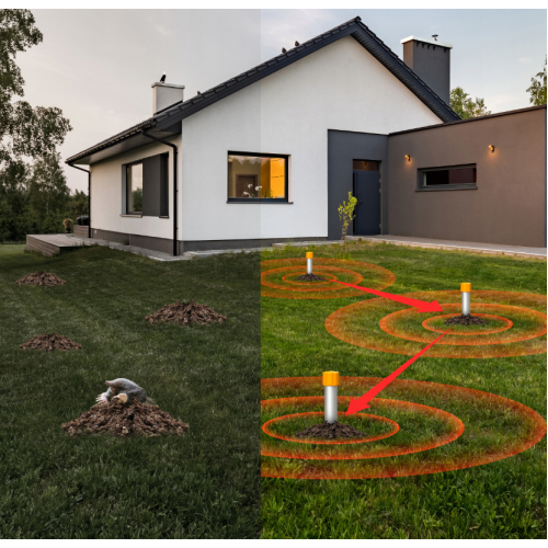 znimokekrana2025-01-24185512-500x500