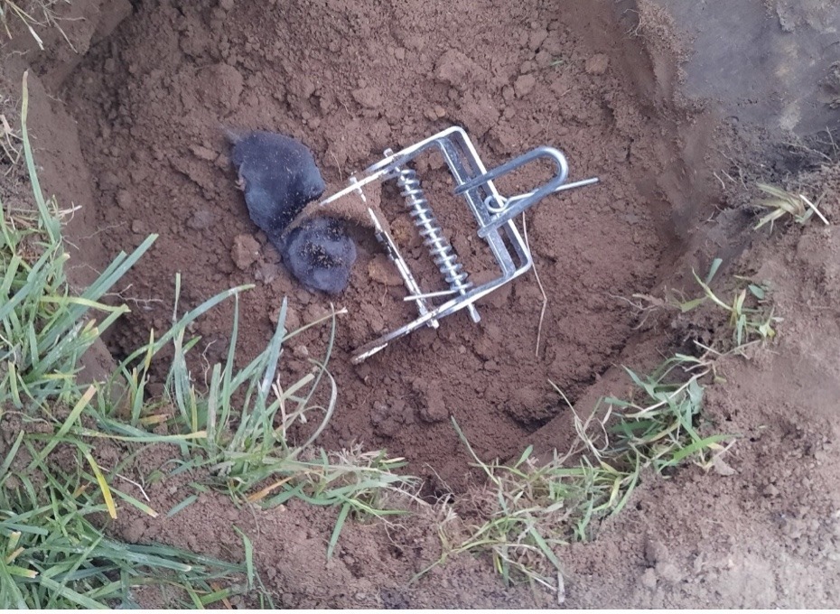 d79bbaaa-10f5-48e3-b431-607dbeb1e8b0