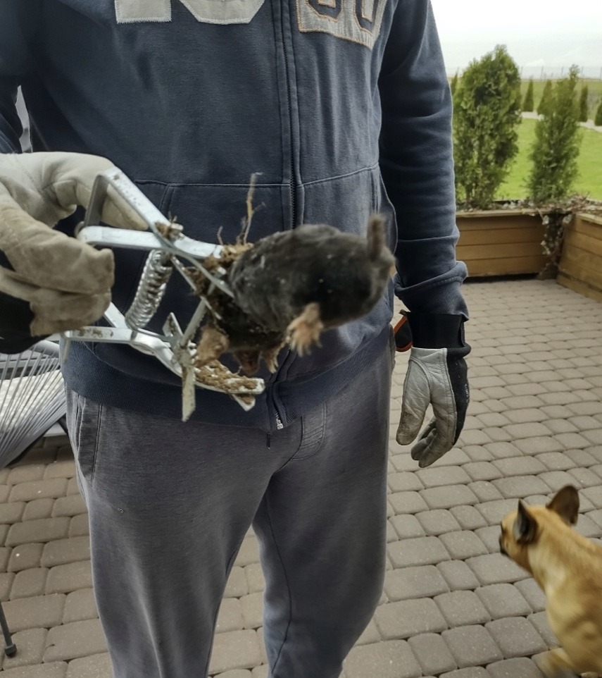 izobrazhenie_viber_2024-02-22_11-17-48-654