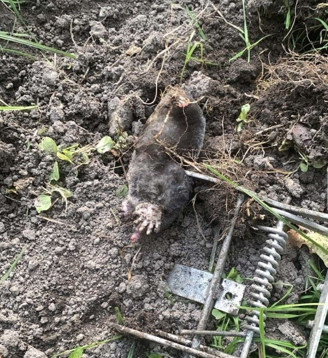 izobrazhenie_viber_2024-02-22_11-17-48-990