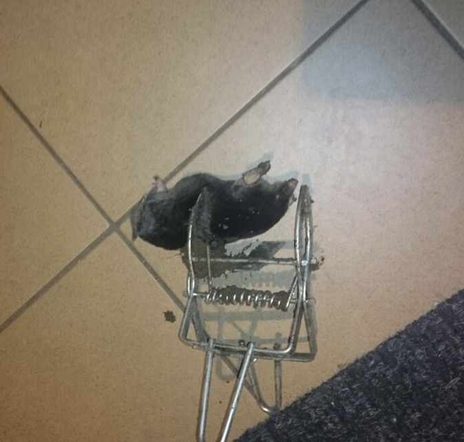 izobrazhenie_viber_2024-02-22_11-18-02-344